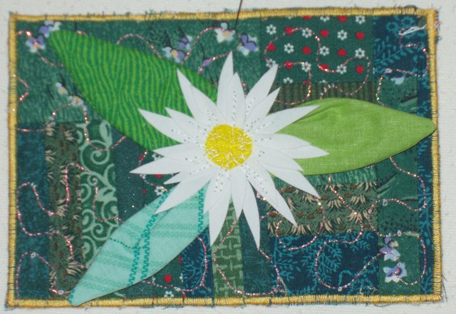 Cartolina 10