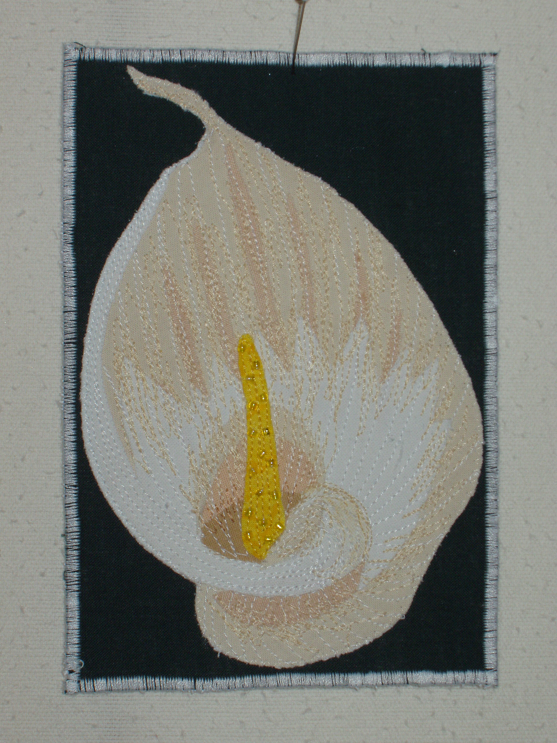 Cartolina 32